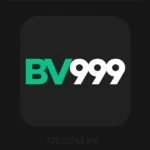 bvo999 game